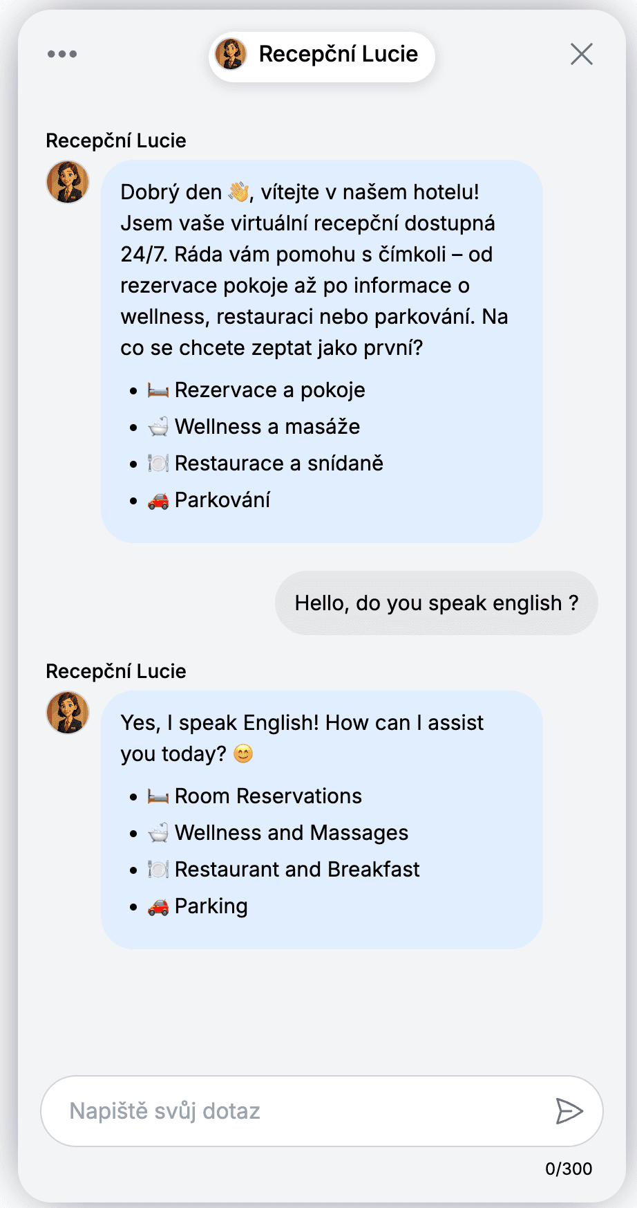 Chatbot zvládne komunikovat ve všech jazycích